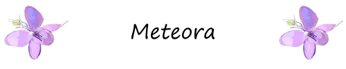 home banner